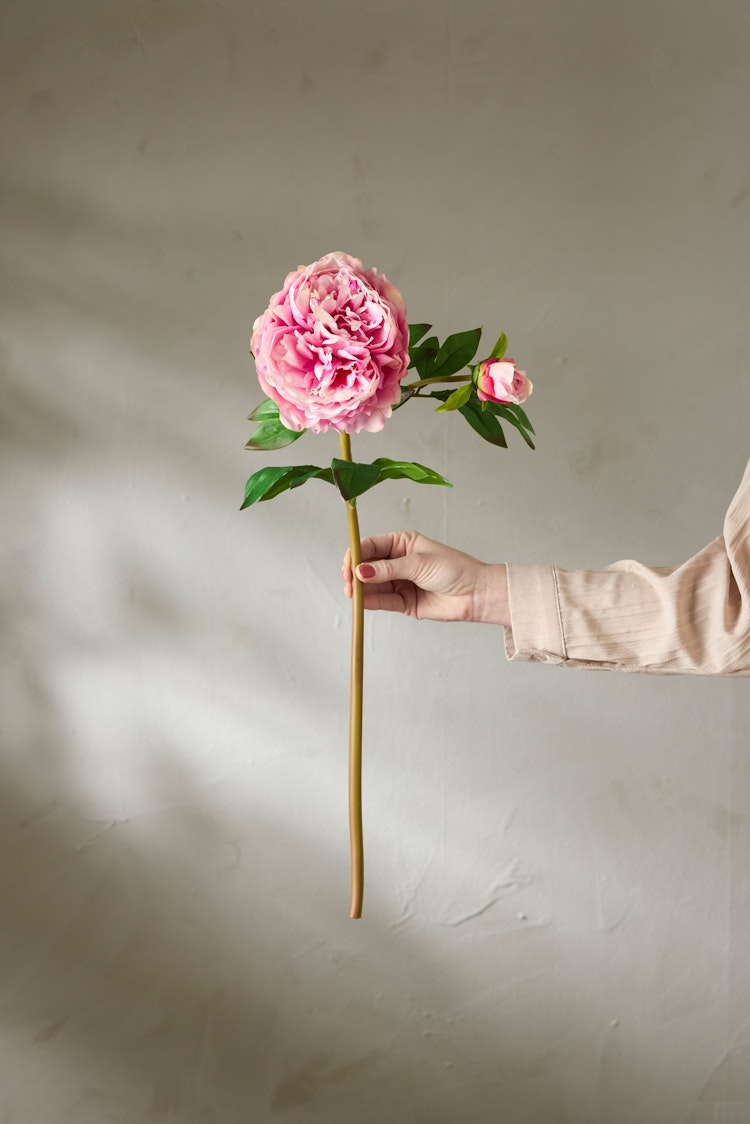 Pion Rosa - Real Touch