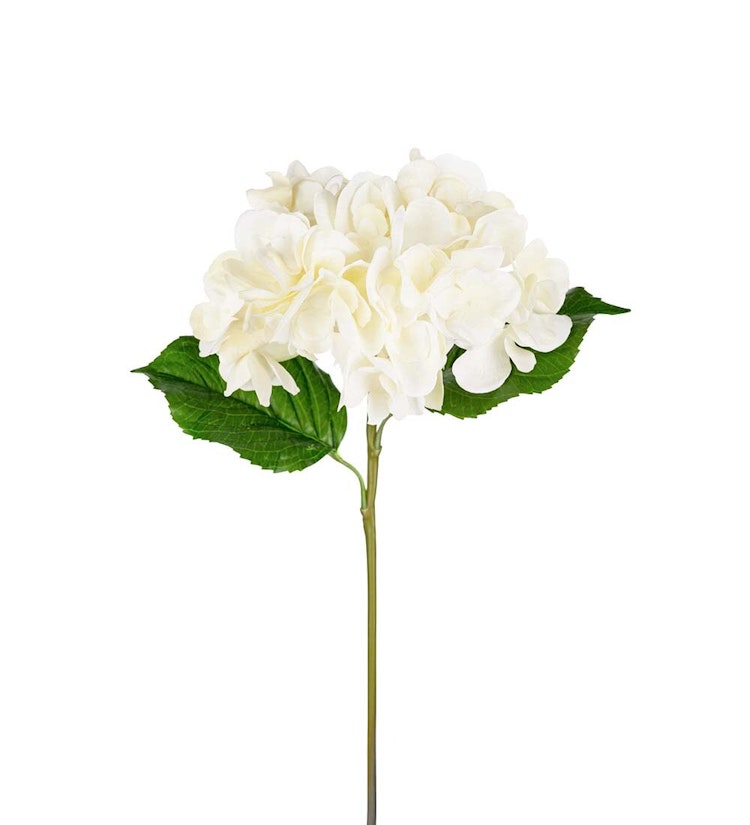 Hortensia- Real Touch