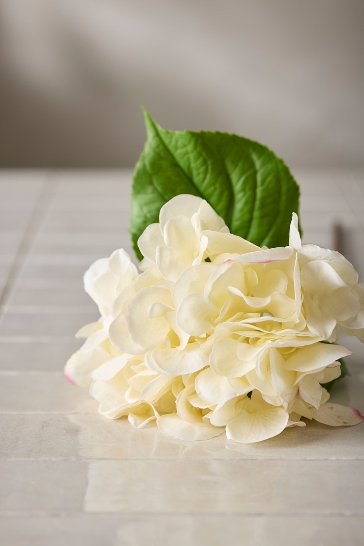 Hortensia- Real Touch