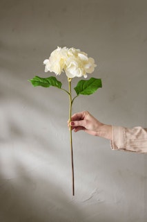 Hortensia- Real Touch