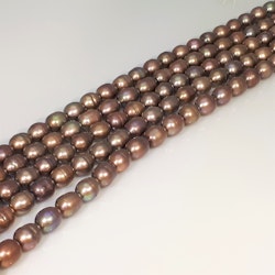 Nougat-bruna ovala pärlor 8x11 mm