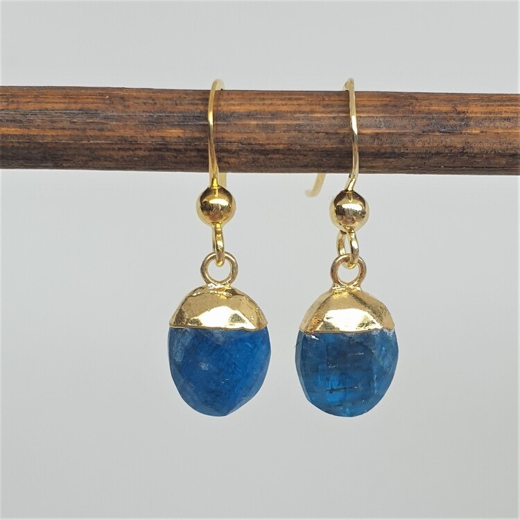 Örhängen med blå apatit på förgylld silverkrok | PIRUM - Ädelstenar och  pärlor, gemmolog, värderingar, smyckeskurser | PIRUM