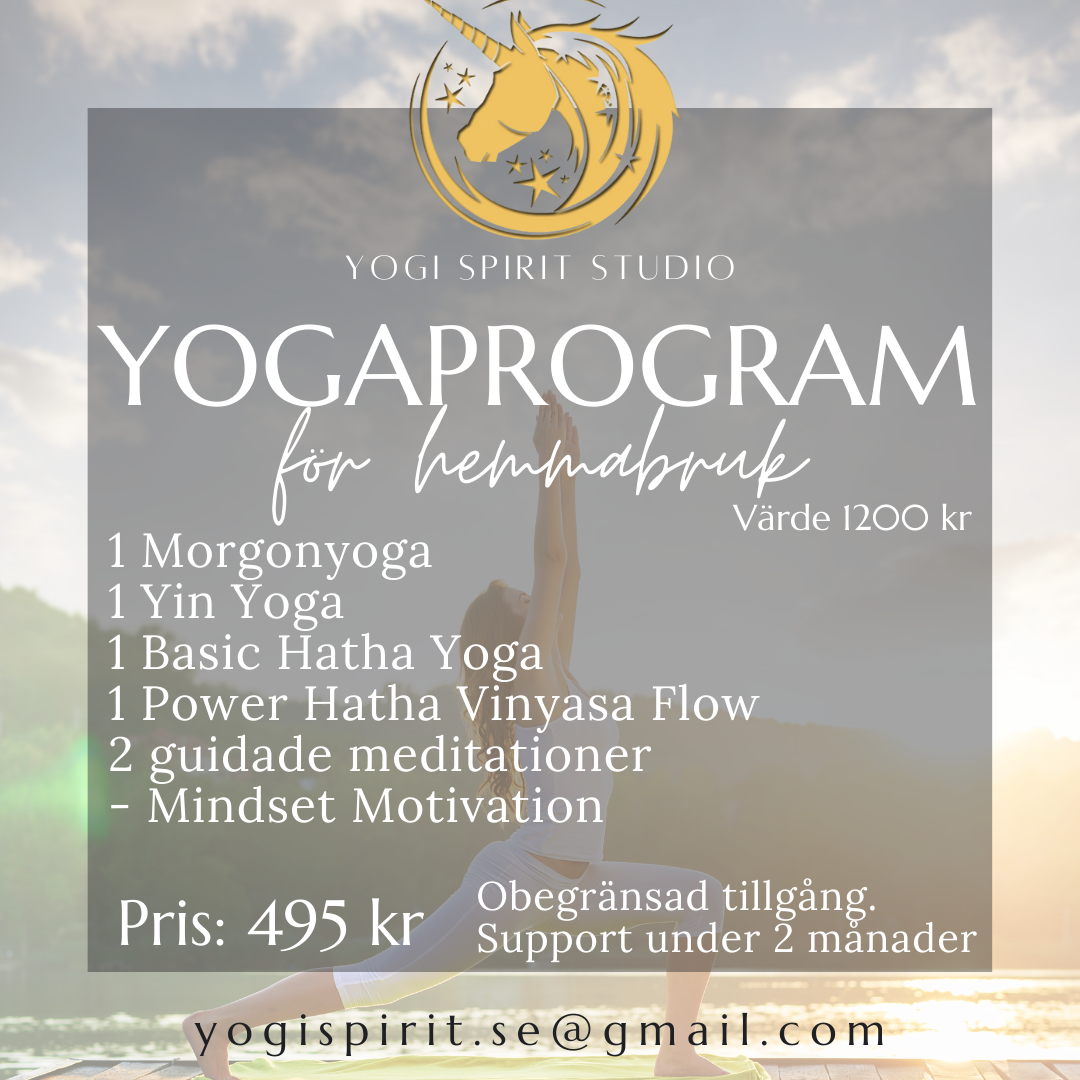 Yoga & Meditationsprogram