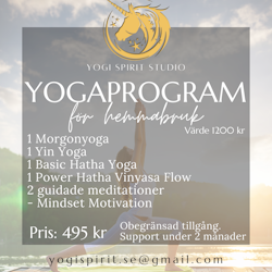 Yoga & Meditationsprogram