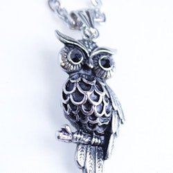 Halsband Owl