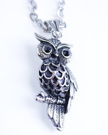 Halsband Owl