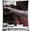 Pantera Vulgar display of power poster flag