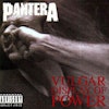Pantera "Vulgar display of power" posterflagga