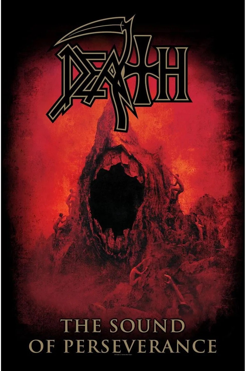 Death Sound Of Perseverance  posterflagga