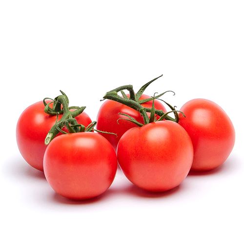 Tomat Kvist EKO