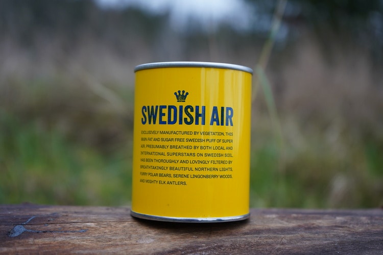 SWEDISH AIR