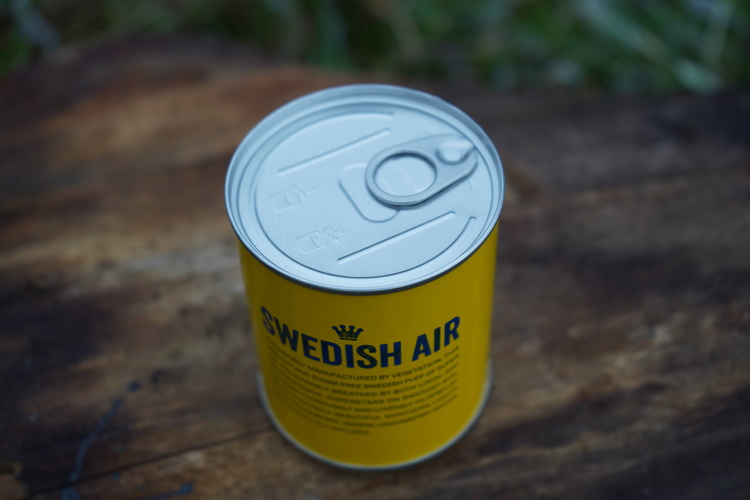 SWEDISH AIR