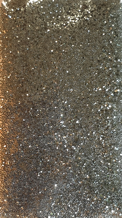 Glitter Powder - Champagne Silver #16 (10 gram)