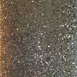 Glitter Powder - Champagne Silver #16 (10 gram)