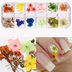 Mixed Dried Flower Nail Deco - Style C