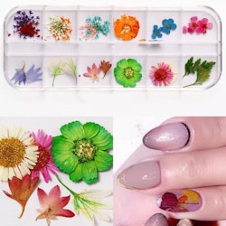 Mixed Dried Flower Nail Deco - Style F