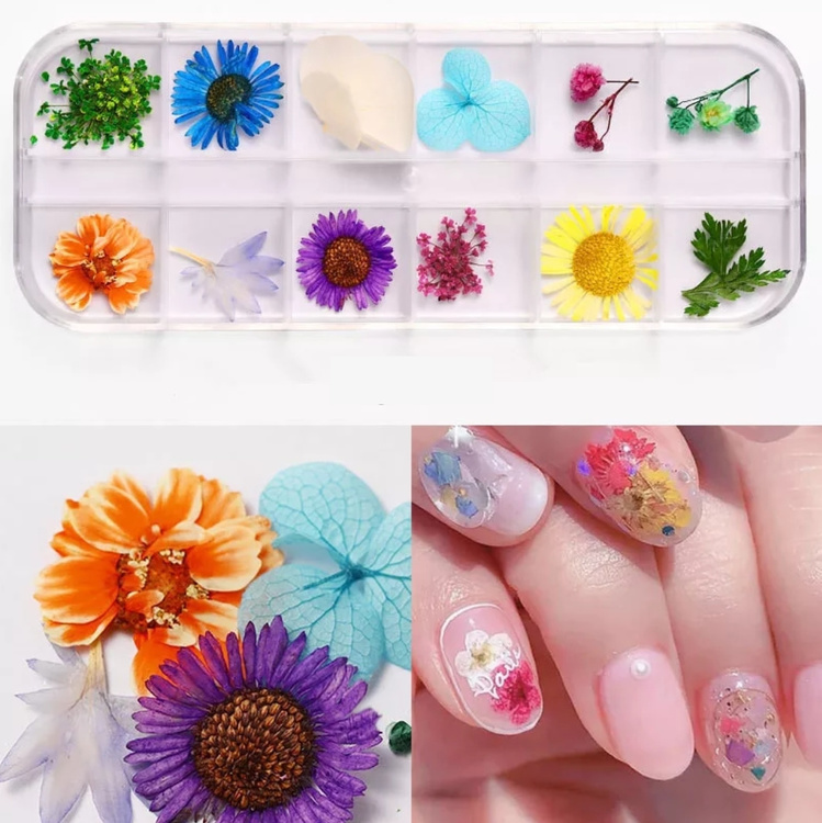 Mixed Dried Flower Nail Deco - Style H
