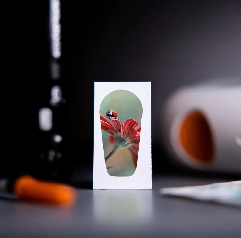 Sticker Dexcom G6 Transmitter - Ladybug