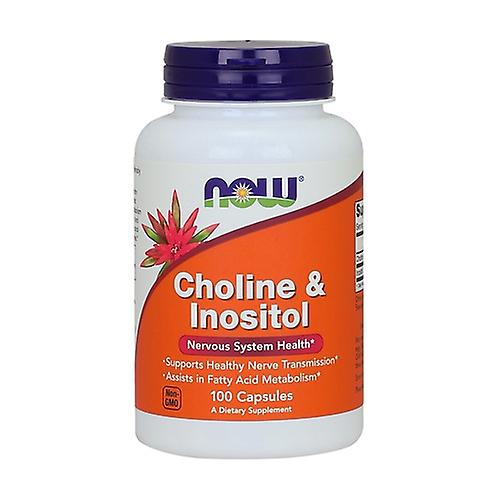 Choline & Inositol, 100 kapsler