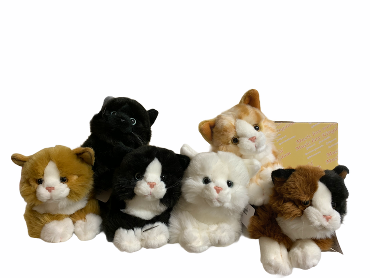 Katt 6 olika 21 cm - Leklyckan - Leksaksleverantör, distributör och  grossist för leksaker!