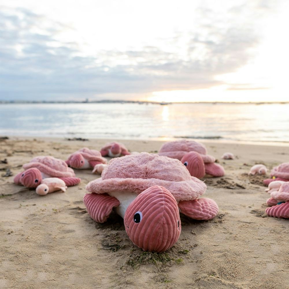 Les deglingos sköldpadda rosa med baby