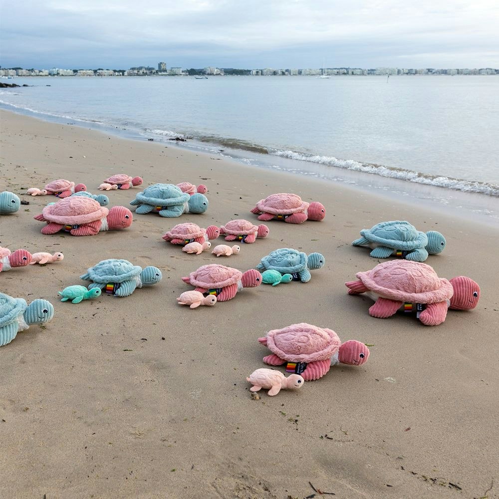 Les deglingos sköldpadda rosa med baby