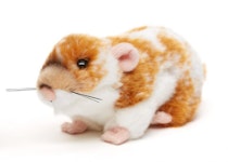 Hamster