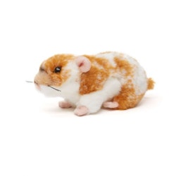 Hamster