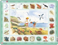Natur strand - Larsen