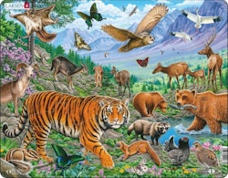 Amur tiger - Larsen