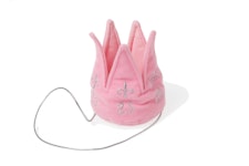 Prinsesskrona