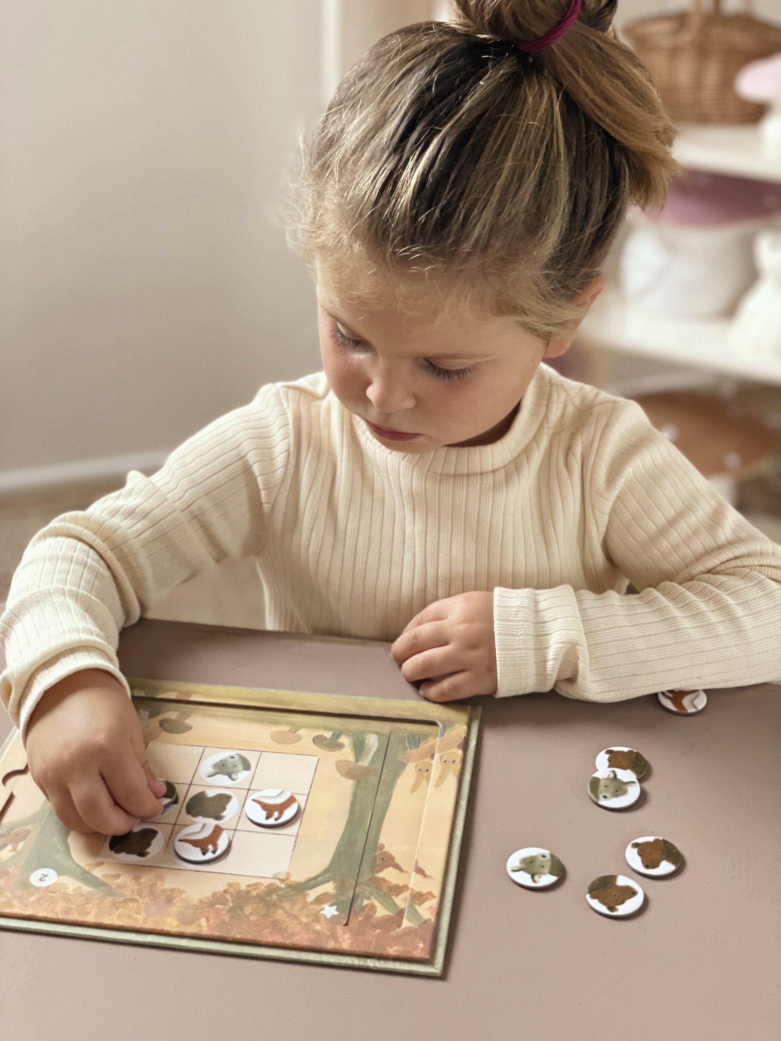 Magnetiskt spel skogen sudoko