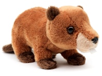 Bäver 20cm
