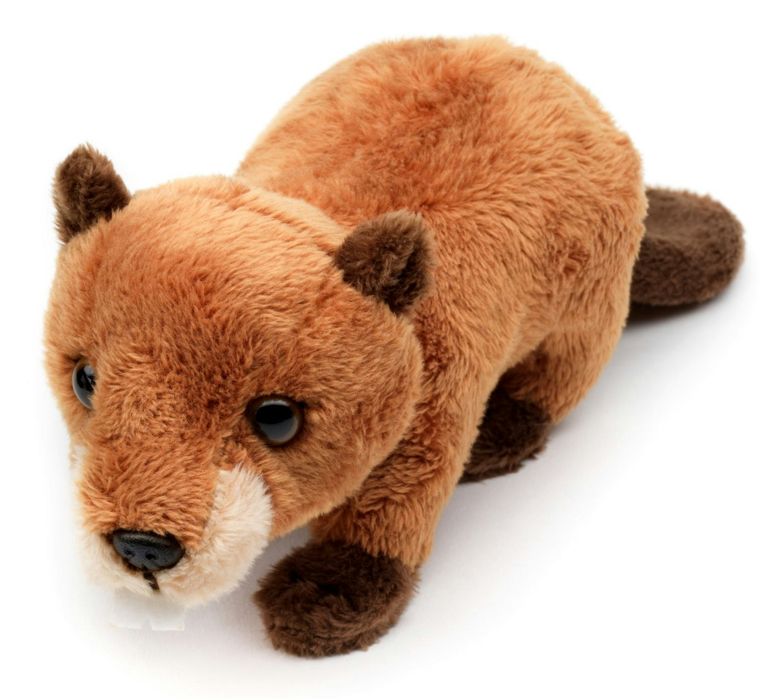 Bäver 20cm