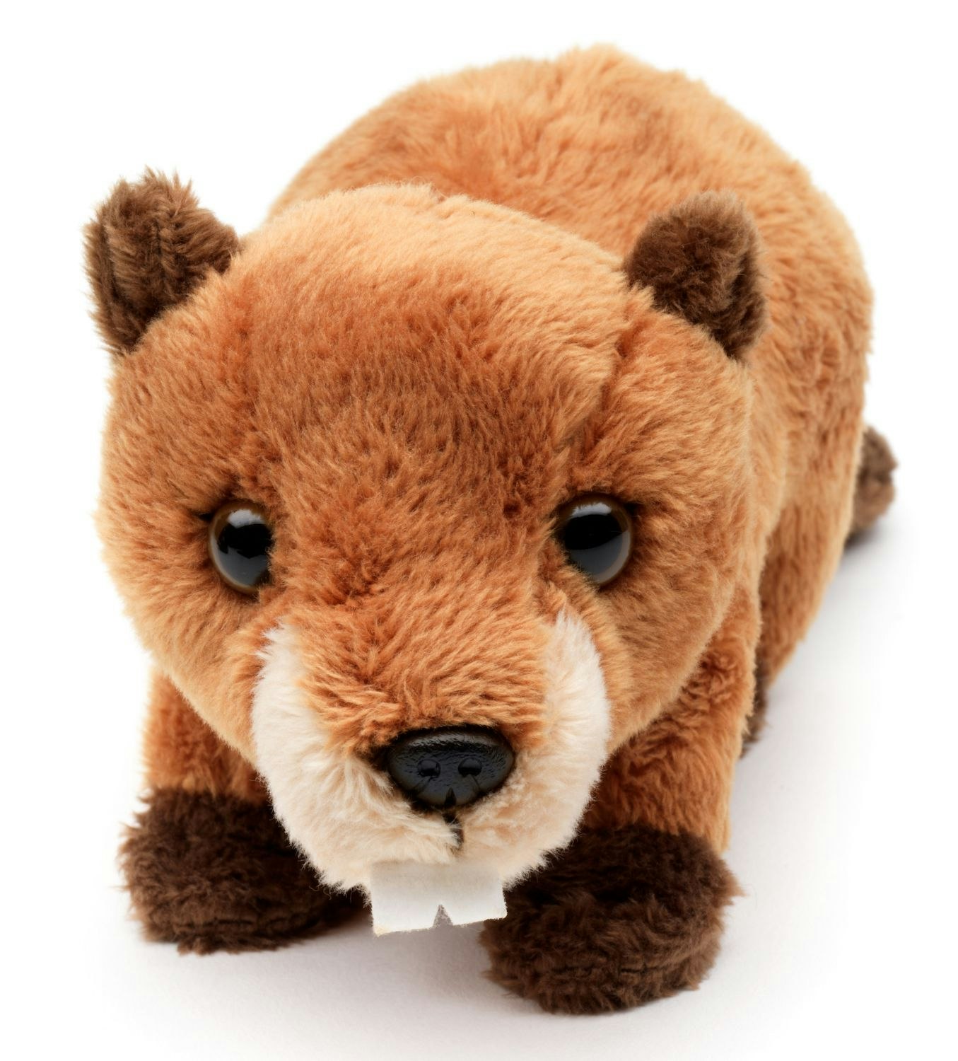 Bäver 20cm