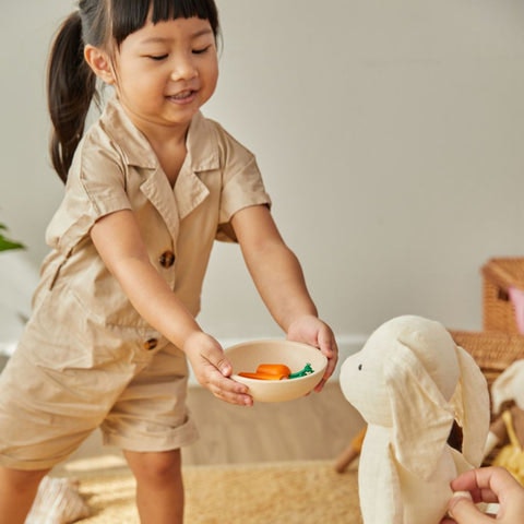 Servis - PlanToys