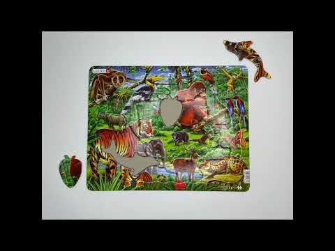 Djungel - Larsen