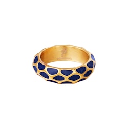 Nessa Ring