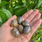 Jaspis Frukt Trumlade stenar 100gr