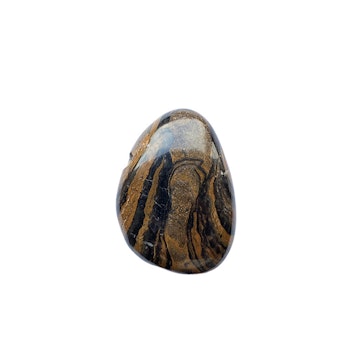 Stromatolit AA Hängsmycke (Droppe)