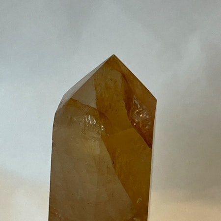 (FYND) Golden Healer Spets 8,4cm