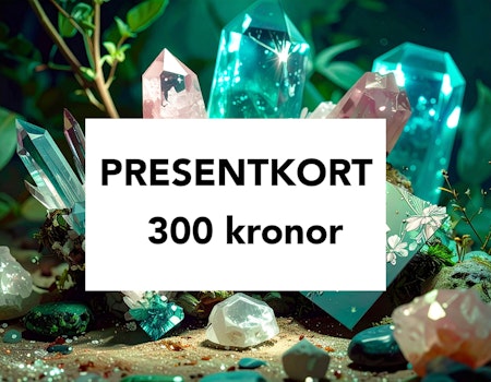 Presentkort 300 kr