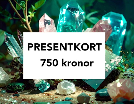 Presentkort 750 kr