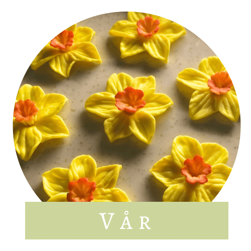 Miniatyrverkstaden > Vår