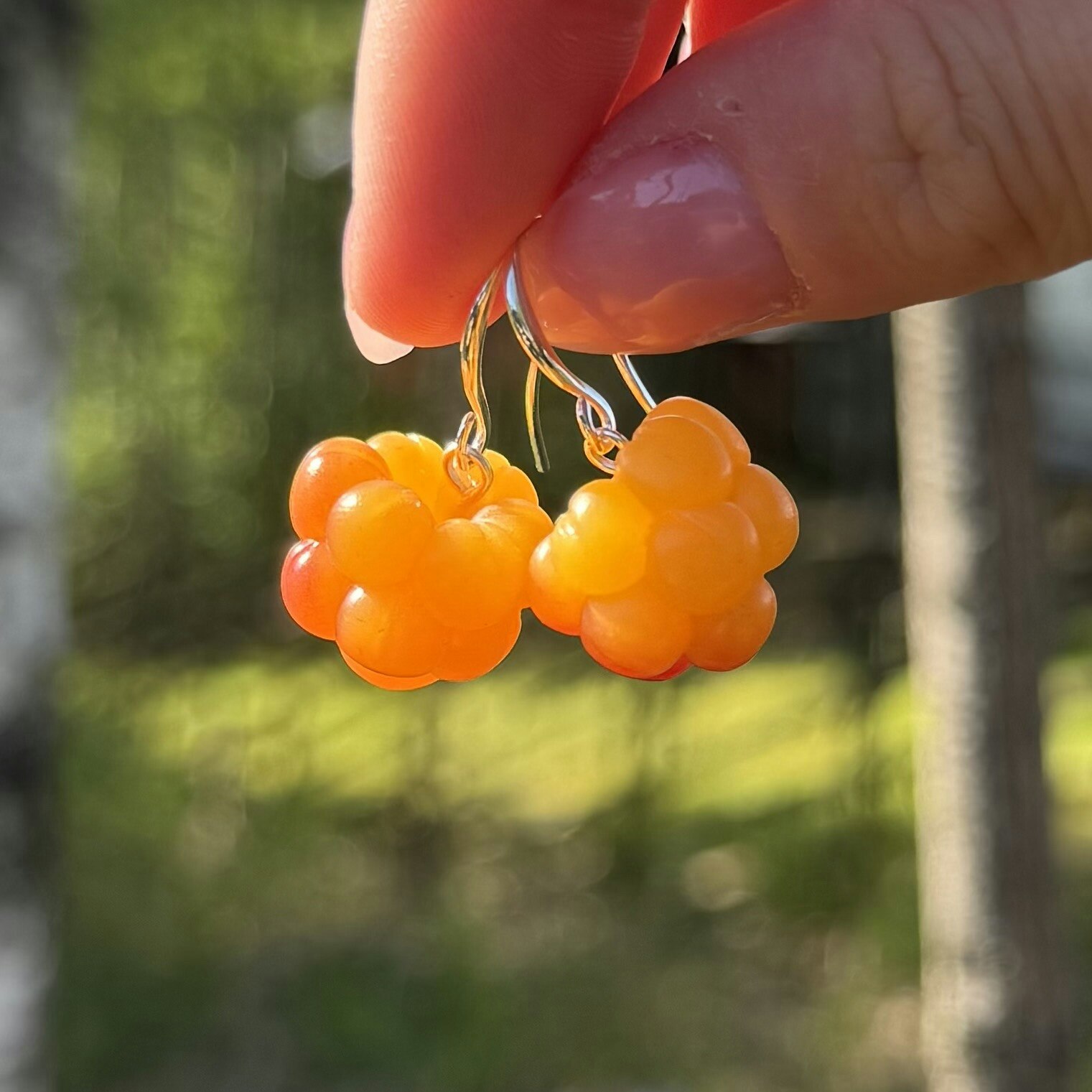 Hjortron örhängen