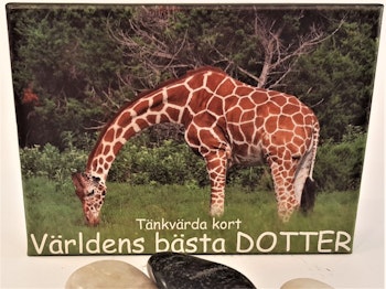 Tänkvärda kort!!