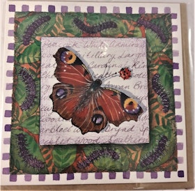 Fyrkantigt grattiskort med fjäril, utan text
