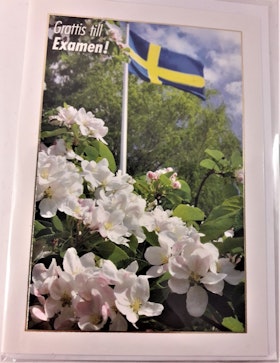 Grattiskort "Grattis till Examen" med vita blommor