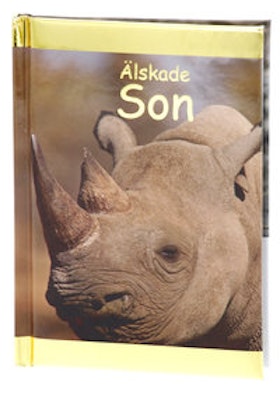 Älskade son