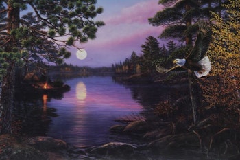 Pussel 1000 bitar Northern Twilight - James A. Mayer, 19x30 tum / 48x76cm